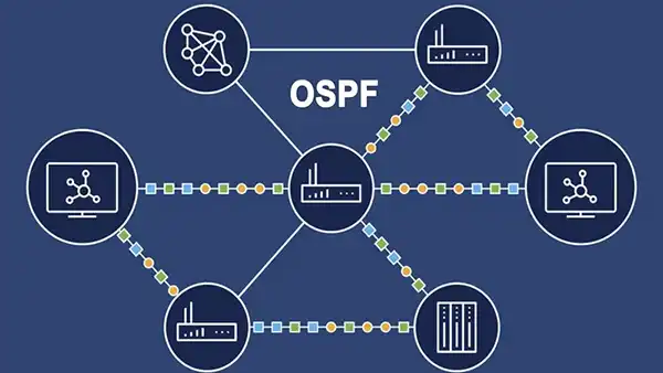 Hướng dẫn cấu hình định tuyến OSPF
