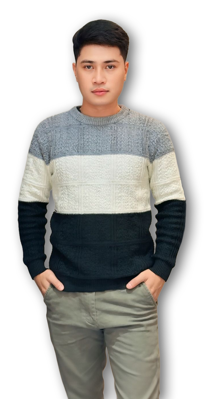Trần Vũ Thanh Huy