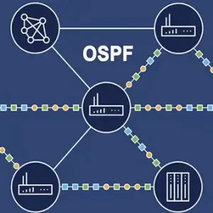 Hướng dẫn cấu hình định tuyến OSPF