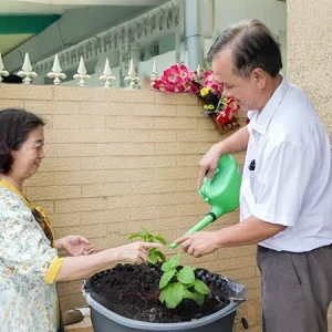 Xã Vĩnh Bình: Xây dựng gia đình no ấm, tiến bộ, hạnh phúc, văn minh trong tình hình mới - hiệu quả sau 05 năm thực hiện Chỉ thị số 06-CT/TW của Ban Bí thư